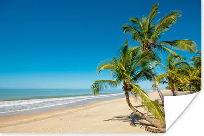 Produktbild von MuchoWow® Poster Strand - Meer - Palme 30x20 cm - Plakate - Print