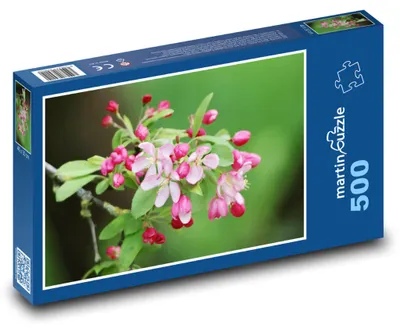Obrázek produktu pro martinpuzzle - Puzzle 500 - Květ jabloně