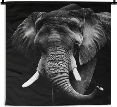 Produktbild von MuchoWow® Wandteppich Wandbehang Elefant - Zähne - Schwarz - Weiß 150x150 cm Tapisserie Dekoration Wandtuch - Wohnaccessoires - Modernes