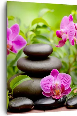 Produktbild von Bild auf Leinwand - Leinwandbild - Einteilig - Blumen Steine Bambus Dekoration - 70x100cm - Wand Bild - Wandbilder - Leinwanddruck - Wanddekoration - Leinwand bilder - Wandbild - PA70x100-2687