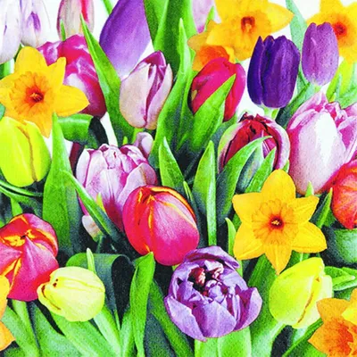 Produktbild von Servietten 33x33 cm - Bouquet of Tulips