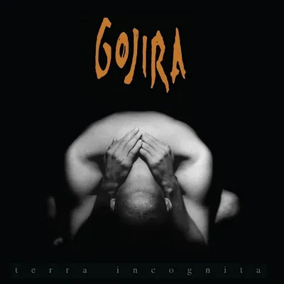 Obrázek produktu pro Gojira - Terra Incognita (2 LP)