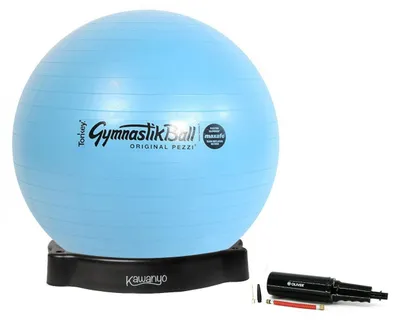 Produktbild von Pezziball MAXAFE, 65 cm, mit Luftpumpe und Ballhülle