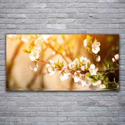 Produktbild von Glasbilder 120x60 Wandbild Druck auf Glas Blumen Pflanzen