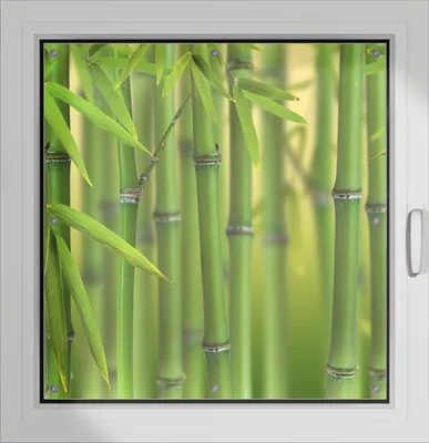 Produktbild von Wallario Lichtschutzbild, Dekorativer Sichtschutz Sonnenschutz 96 x 100 cm mit Motiv: Grüner Bambuswald - Verdunklung ohne Bohren