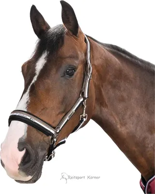 Produktbild von Eskadron Halfter mit Dornschnalle, Stallhalfter, walnut - white- navy Größe - Pony2
