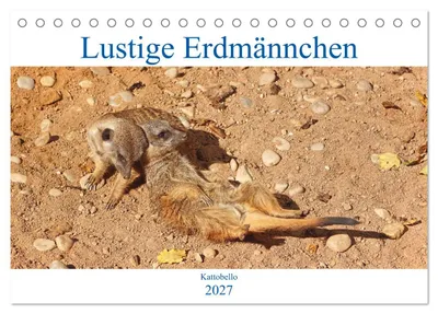 Produktbild von Lustige Erdmännchen (Tischkalender 2027 DIN A5 quer), CALVENDO Monatskalender