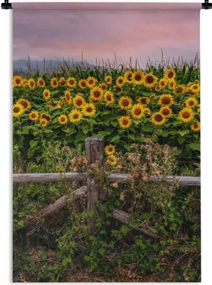 Produktbild von MuchoWow® Wandteppich Wandbehang Sonnenblume - Blumen - Pflanzen 120x180 cm Tapisserie Dekoration Wandtuch - Schlafzimmer - Dekorationen für das Haus