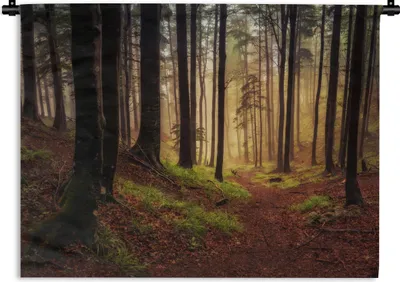 Produktbild von MuchoWow® Wandteppich Wandbehang Bäume - Natur - Wald 90x67.5 cm Tapisserie Dekoration Wandtuch - Fototeppich - Wand-Skulpturen