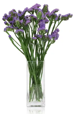 Glasvasen, rechteckig, 8x8x20 cm, Kristall, klar, für Blumen