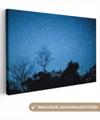 Obrázek produktu pro OneMillionCanvasses® - Obrazy na plátně - 140x90 cm, Hvězdná obloha - Les - Modrá, Nástěnné umění tisk Nástěnná dekorace - Fotografie na plátně - Obraz na dřevěném rámu