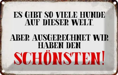 Produktbild von vianmo Blechschild 20x30 cm wir haben den schönsten Hund Tier Haustier