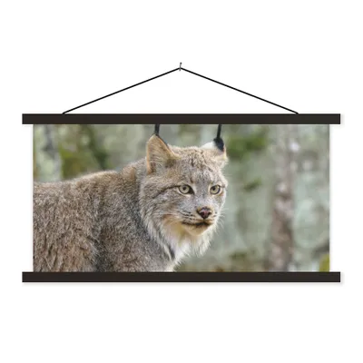 Produktbild von MuchoWow® Textilposter Luchs - Wald - Grau 120x60 cm mit schwarzem Rahmen - Dekoration Schlafzimmer