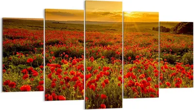 Produktbild von Bild auf Leinwand - Leinwandbild - Mohn Blume Wiese - 160x85cm - Wand Bild - Wanddeko - Wandbilder - Leinwanddruck - Bilder - Kunstdruck - Wanddekoration - Leinwand bilder - Wandkunst - EA160x85-3643