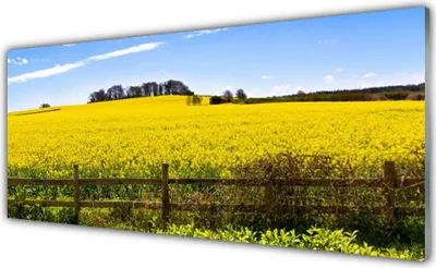 Produktbild von Acrylglasbilder 125x50 Wandbild Druck Acker Landschaft