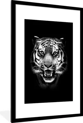 Produktbild von MuchoWow® Gerahmtes Poster Tiger Kopf gegen schwarzen Hintergrund - schwarz und weiß 60x90 cm - Poster mit Schwarzem Bilderrahmen Wandposter Rahmen Foto Bilder - Dekoration - Wandposter Wohnzimmer - Hochwertig