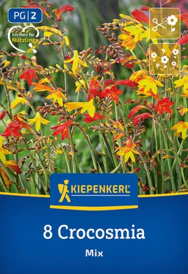 Produktbild von Kiepenkerl Crocosmia Kleinblumige 8 Pflanzen