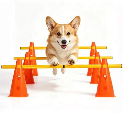 Hunde Agility Trainingsset, 6 Kegel + 3 Stangen, verstellbar