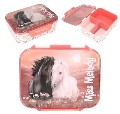 Produktbild von Miss Melody 0414132, Brotdose, Kind, Rose, Polypropylen (PP), Abbildung, Rechteckig