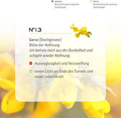 Immagine prodotto di Gocce di Fiori di Bach N°13 - Gorse | Gorse 20ml