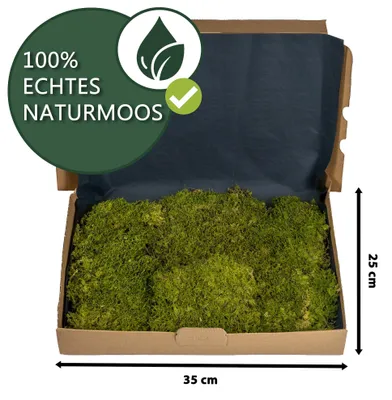 Productafbeelding van Terrariummos, natuurlijke bodembedekking, 1 liter, geschikt voor bioactieve terraria