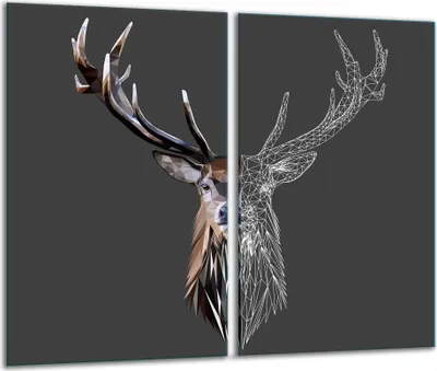 Produktbild von Herdabdeckplatten 2 teilig 30x52 Glaskeramikfeld Abdeckung Glas Hirsch