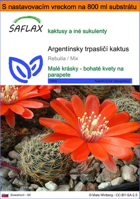 Obrázok produktu pre SAFLAX Garden in the bag - Argentínsky trpasličí kaktus - Rebutia / Mix - 40 Semená - S pestovateľským substrátom v praktickom samostaviteľnom vrecku