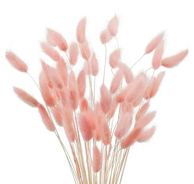 50 getrocknete Pampasgras-Stängel, rosa, ca. 40 cm, Boho-Deko