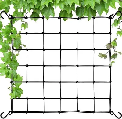 Obrázek produktu pro Nylonová síť do zeleninové a ovocné zahrady – 60 x 60 cm – se 4 háčky.