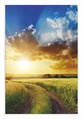 Produktbild von Wallario Wandbild Feldweg in den Sonnenuntergang, Größe: 61 x 91,5 cm, Poster mit rahmenlosen Bildhalter