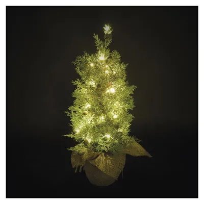 Obrázok produktu pre LED stromček, 50 cm, vonkajšia aj vnútorná, teplá biela, časovač
