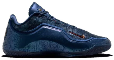 Productafbeelding van Basketbalschoenen Nike IH1513-400 voor Heren
