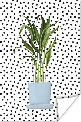 Produktbild von MuchoWow® Poster Pflanzen - Pflanzgefäß - Dots 40x60 cm - Plakate für die Wand - Poster Babyzimmer