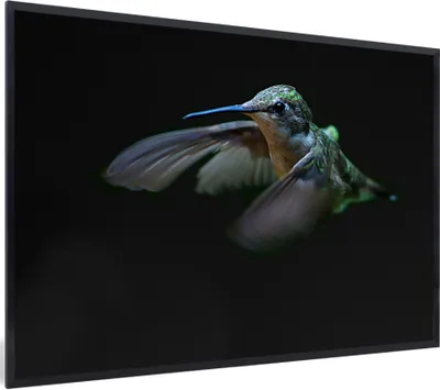Produktbild von MuchoWow® MuchoWow® Gerahmtes Poster Kolibri - Federn - Schwarz 90x60 cm - Poster mit zchwarzem Bilderrahmen - Fotorahmen - Foto-Plakat