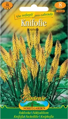 Immagine prodotto di Knifofie, giallo