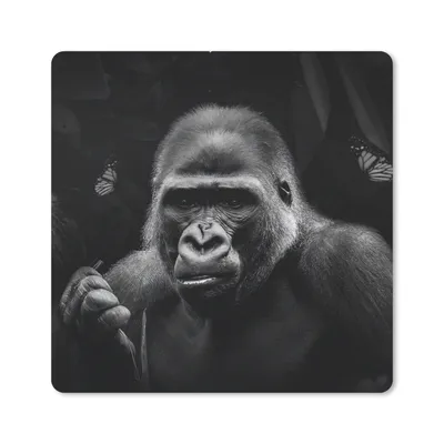 Produktbild von MuchoWow® Mauspad Mousepad Tiere - Schmetterling - Affe - Schwarz - Weiß 30x30 cm - Mousepads - Maus Mat - Pad - Mausunterlage - Gaming