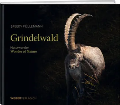 Obrázek produktu pro Grindelwald