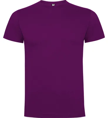 Image de Roly - T-shirt « Dogo Premium » pour homme LT6128 (XXL) (violet)