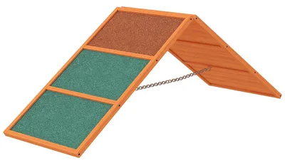 Zdjęcie produktu dla Regulowana rampa dla psów, przeznaczona do treningu zwinności | Kolor: pomarańczowo-zielony | Wymiary: 173x59x66 cm