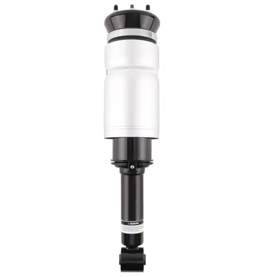 Image de Jambe de suspension avant RNB501580 for Land Rover Discovery L319 Range Rover Sport L320