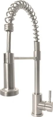 A stainless steel kitchen faucet with a coiled hose.