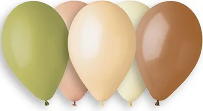 Image de Ballons pastel anniversaire de mariage boho 5pcs