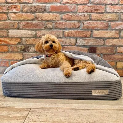 A small dog is resting in a cozy dog bed with a blanket.