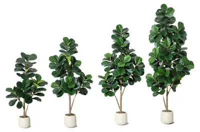 Immagine prodotto di Fico d'India artificiale, foglie realistiche, decorazione d'interni, verde-c, 120 cm