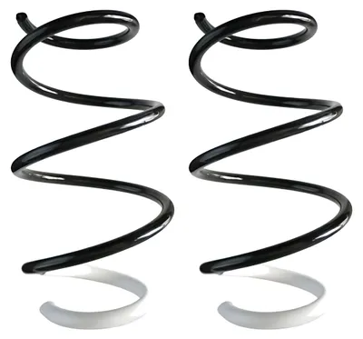 Productafbeelding van SPIDAN ophangingsveer voor Dacia Sandero II, artikelnummer 87048