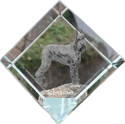 Imagen del producto de Schnauzer cubo de cristal con perro Art-Dog