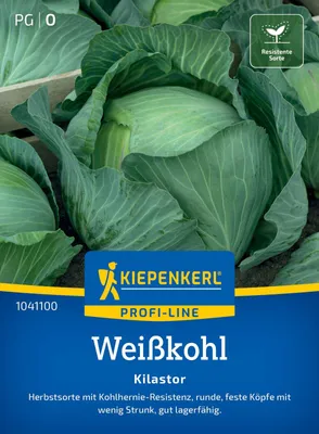 Artikelbild 2 von 'Weißkohl Kilastor F1' aus der Kategorie Weißkohlsamen