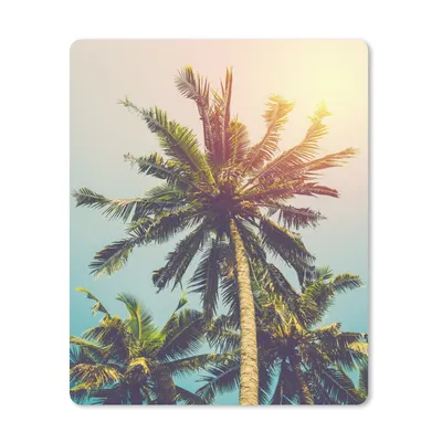 Produktbild von MuchoWow® Mauspad Mousepad Palme - Sommer - Tropisch - Sonne 30x40 cm - Mousepads - Maus Mat - Pad - Mausunterlage - Mausmatten