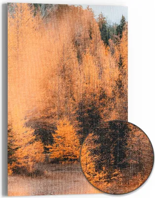 Produktbild von DEQOART Hybrid Leinwand Bild 60x90 cm 'Herbstlicher Flüsterton' Wandbild Glas flach modern