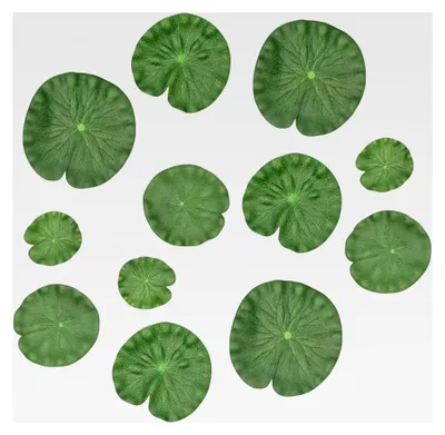 Produktbild von 12 Stück Künstliche Lotusblätter, Seerosenblätter aus Kunststoff für Teich- und Pooldekoration